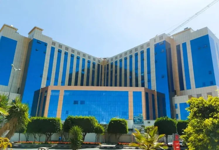 Abha Hospital project